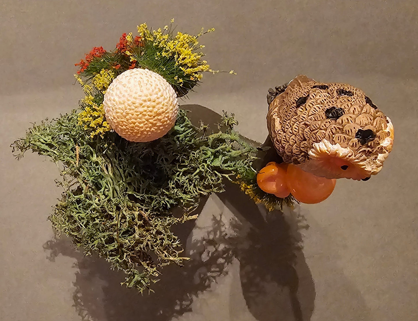 Owl Perching on Tree