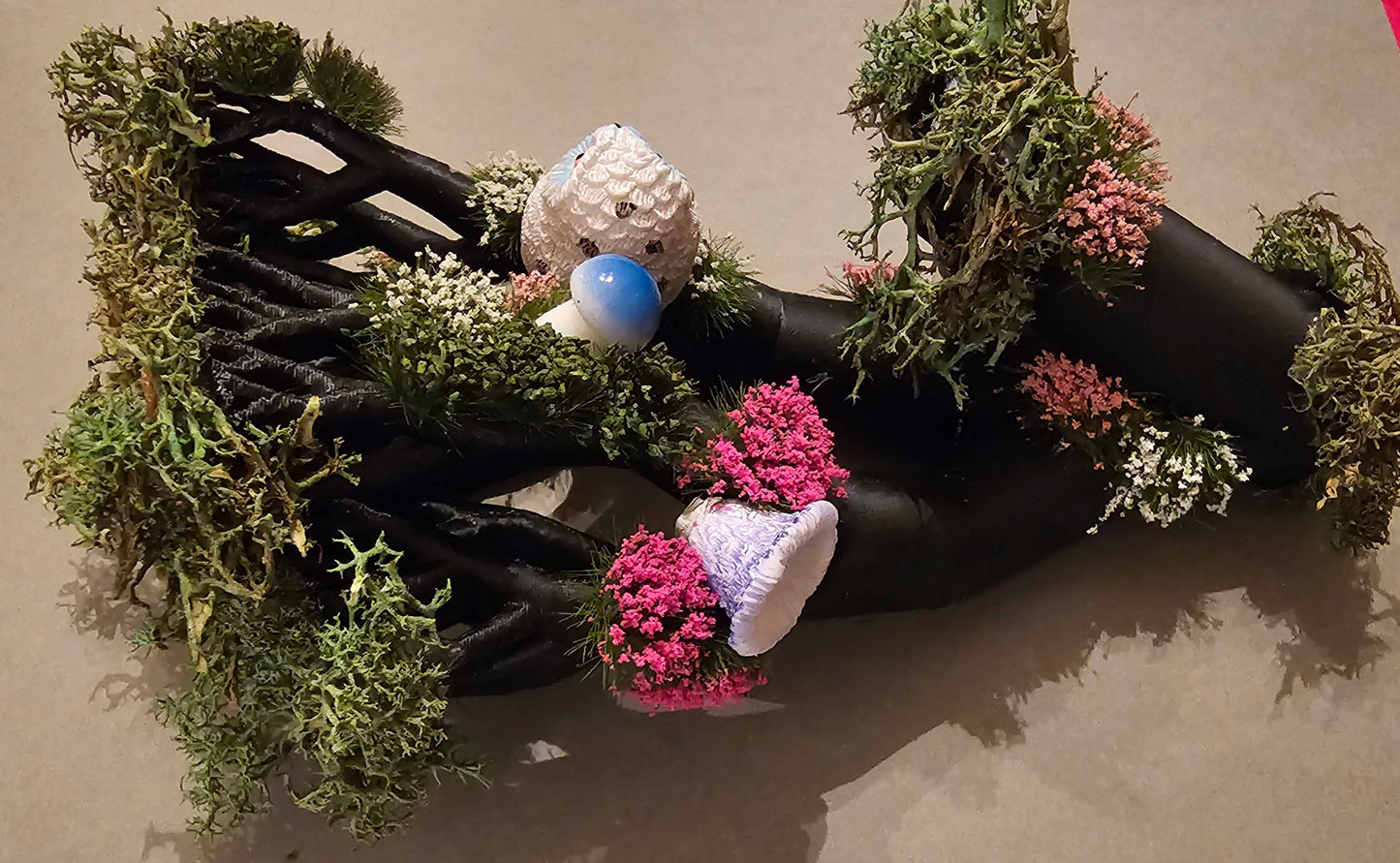 White Owl and Mushrooms Perching on Fallen Tree