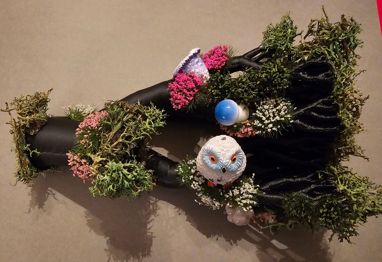 White Owl and Mushrooms Perching on Fallen Tree
