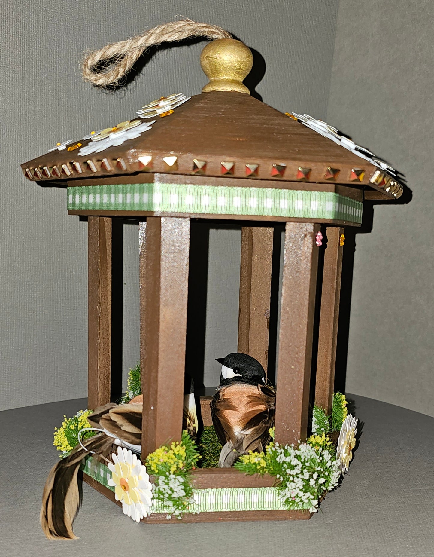 Couple of Birds in a Birdhouse