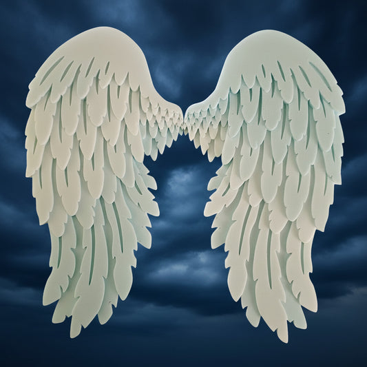 Angel Wings Wall Decor