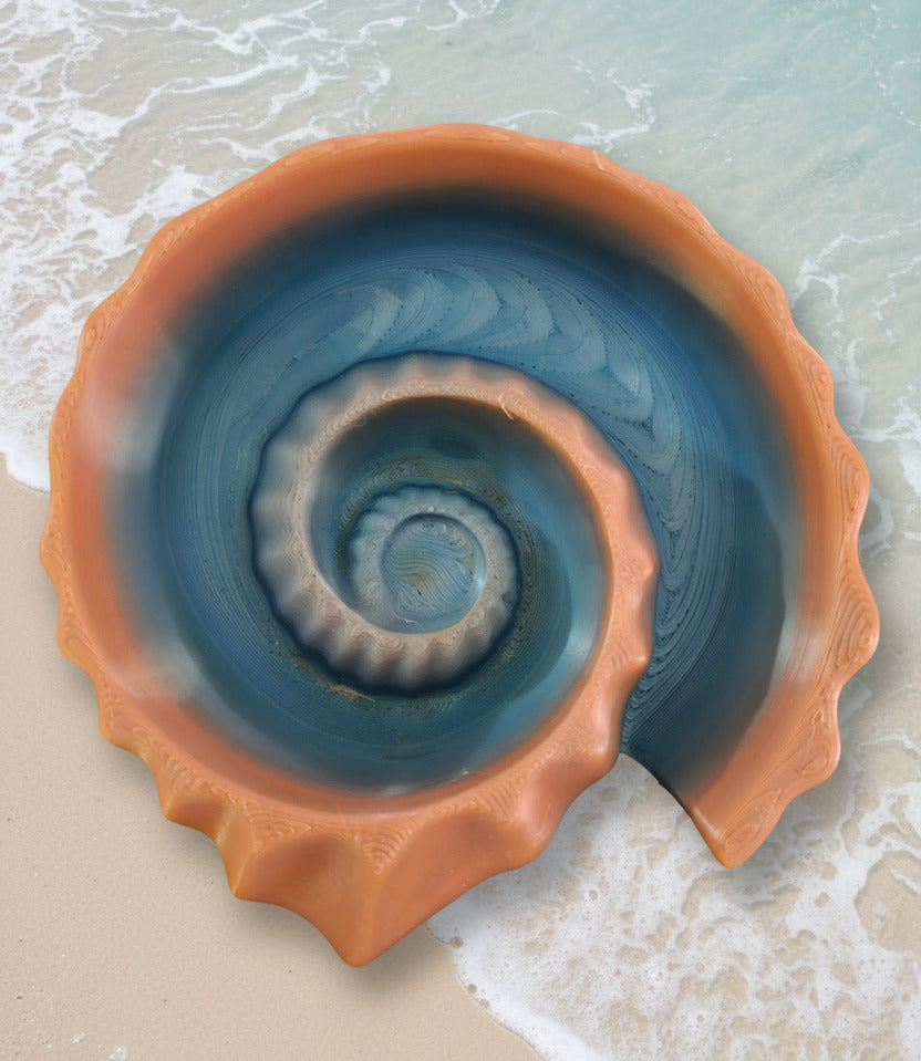 Seashell - Ammonite Dish