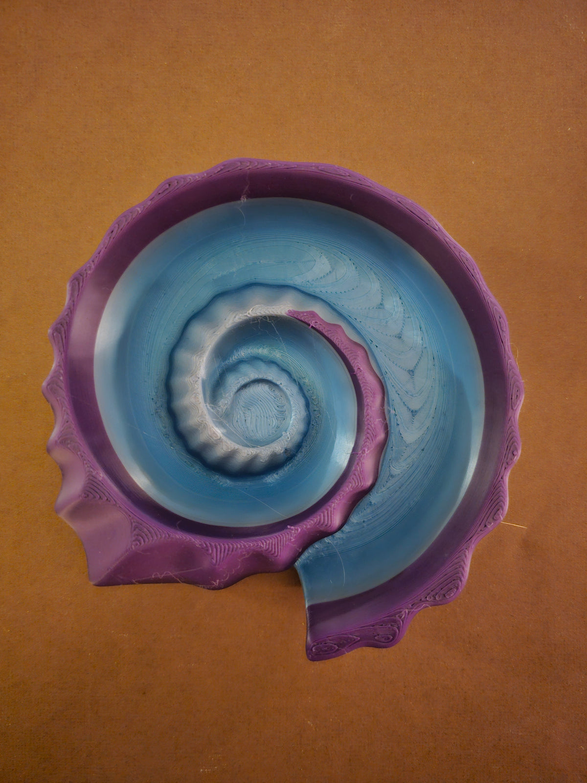 Seashell - Ammonite Dish