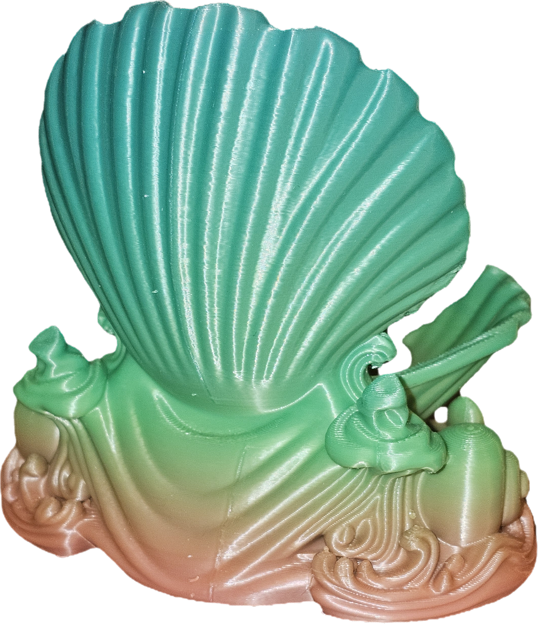 Seashell - Home Decor/Jewelry Holder (Open Clamshell #9)