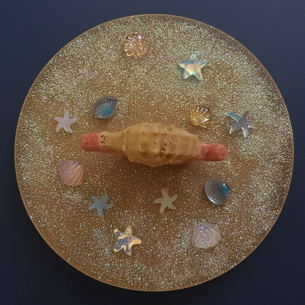 Seahorse Enclosed Container