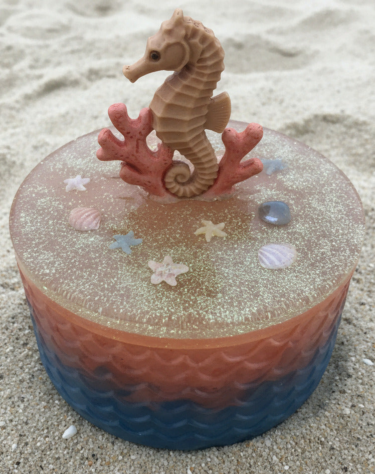 Seahorse Enclosed Container