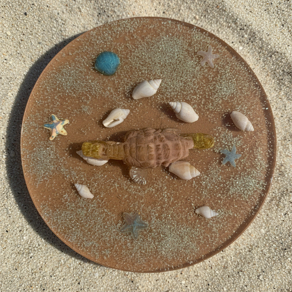 Seahorse Enclosed Container
